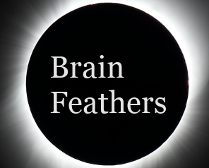 Brain Feathers